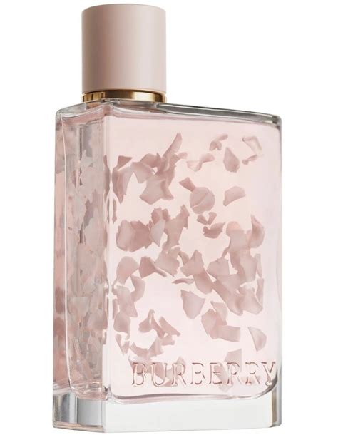 myer burberry perfume